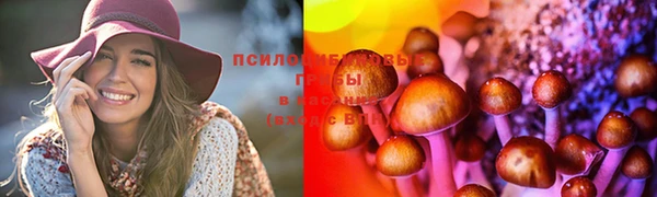 бошки Верея